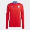 Felpa Allenamento FC Bayern München
